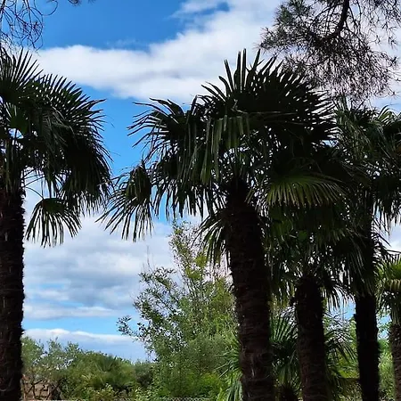 Holiday home Sous Le Grand Pin Eden En Cevennes *