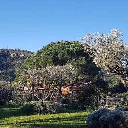 Sous Le Grand Pin Piscine&spa éden En Cévennes à Gard