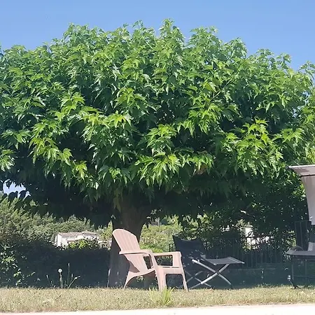 Sous Le Grand Pin Eden En Cevennes Holiday home *