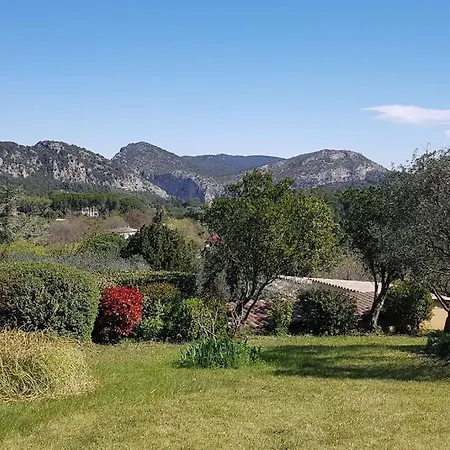 Sous Le Grand Pin Eden En Cevennes