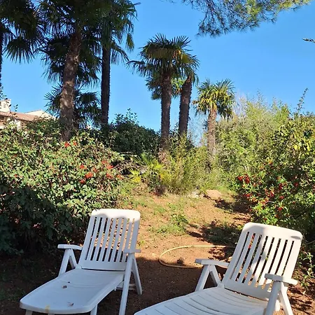 Sous Le Grand Pin Eden En Cevennes